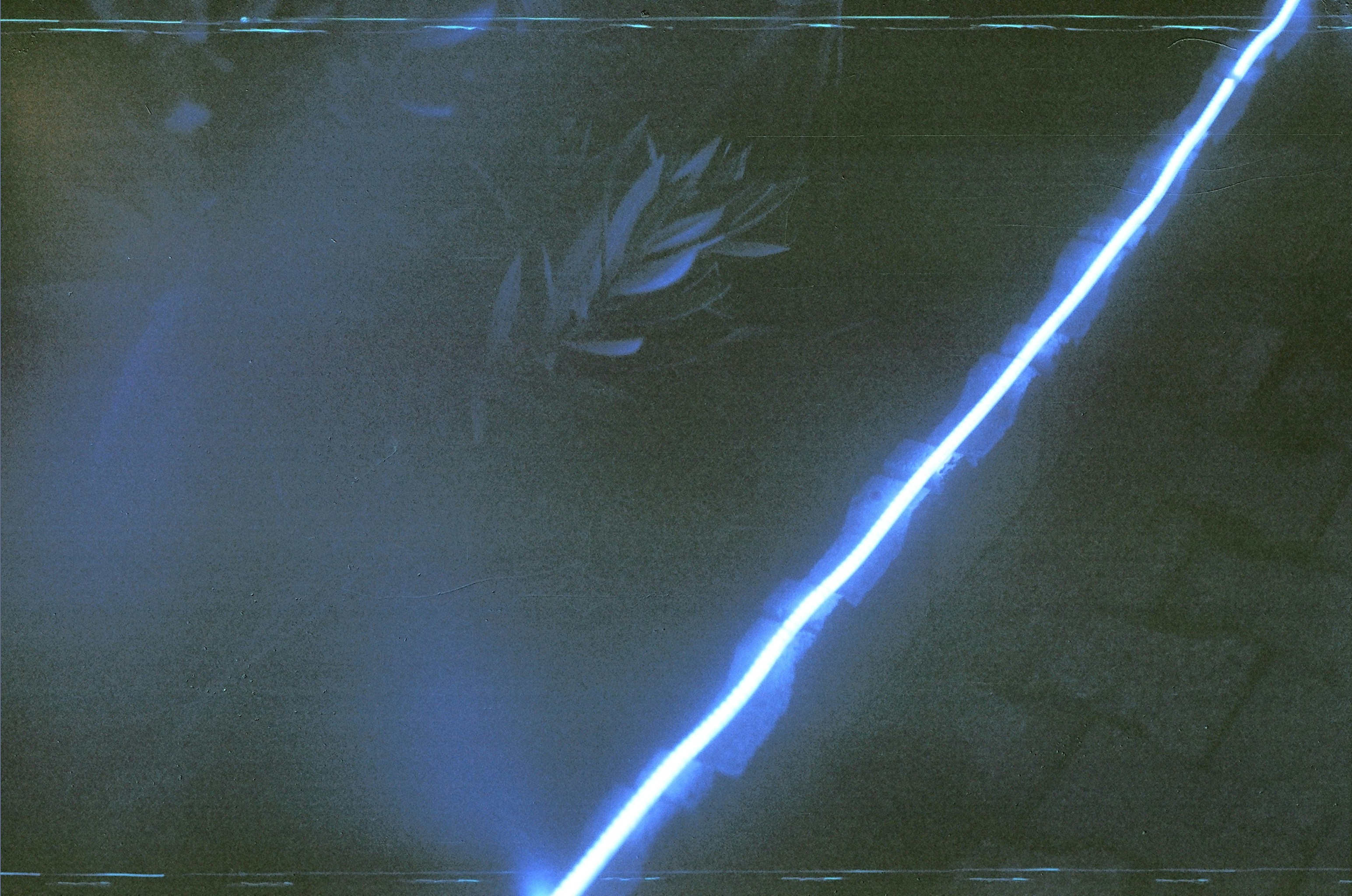 photo-1565967917239-805316b3f0bc?ixid=M3