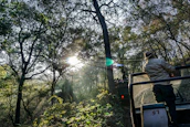 man standing at the back of vehicle viewing forest during daytime