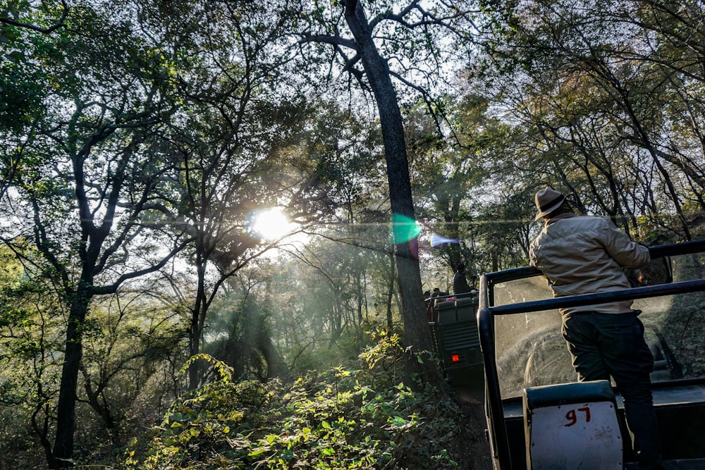 man standing at the back of vehicle viewing forest during daytime