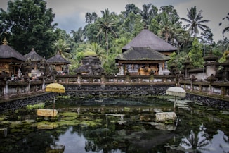 brown houses near pond surrounded with tall and green trees