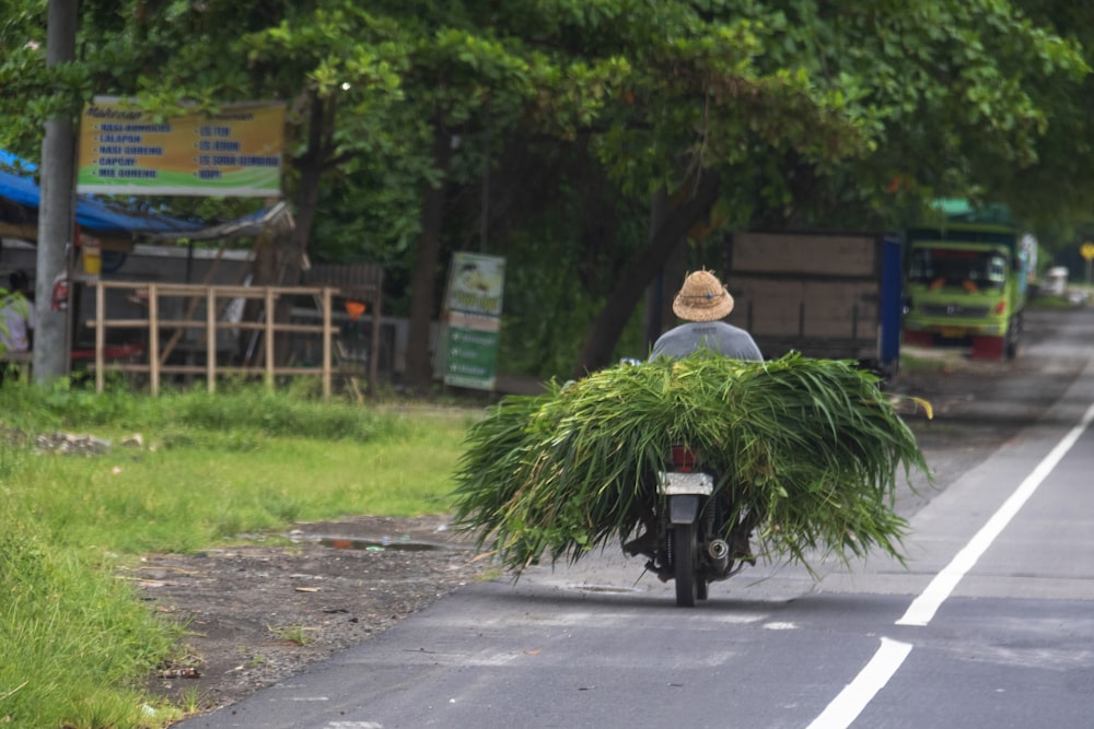 photography of person riding motorcycle near road during daytime