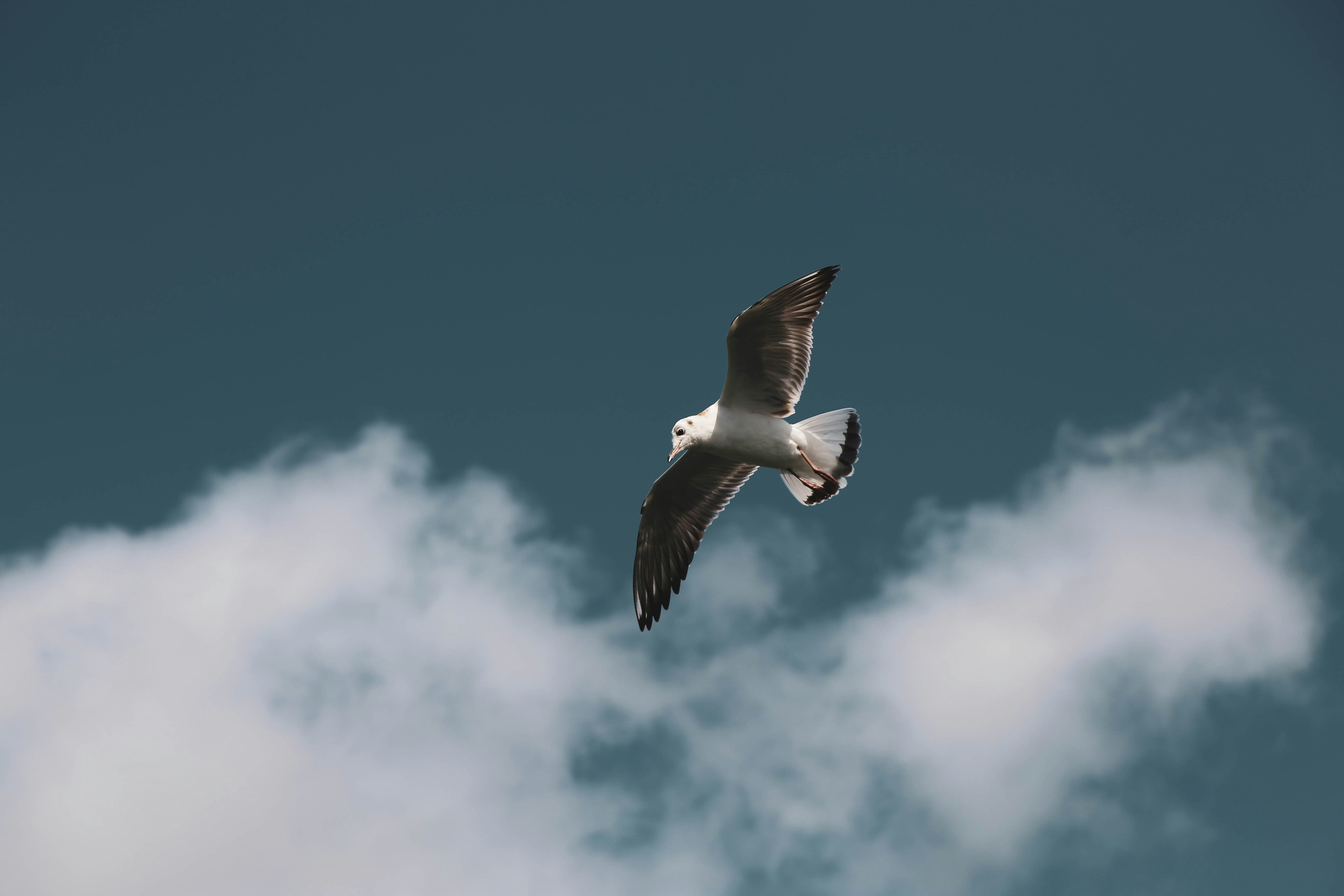 Photo by graphicnode