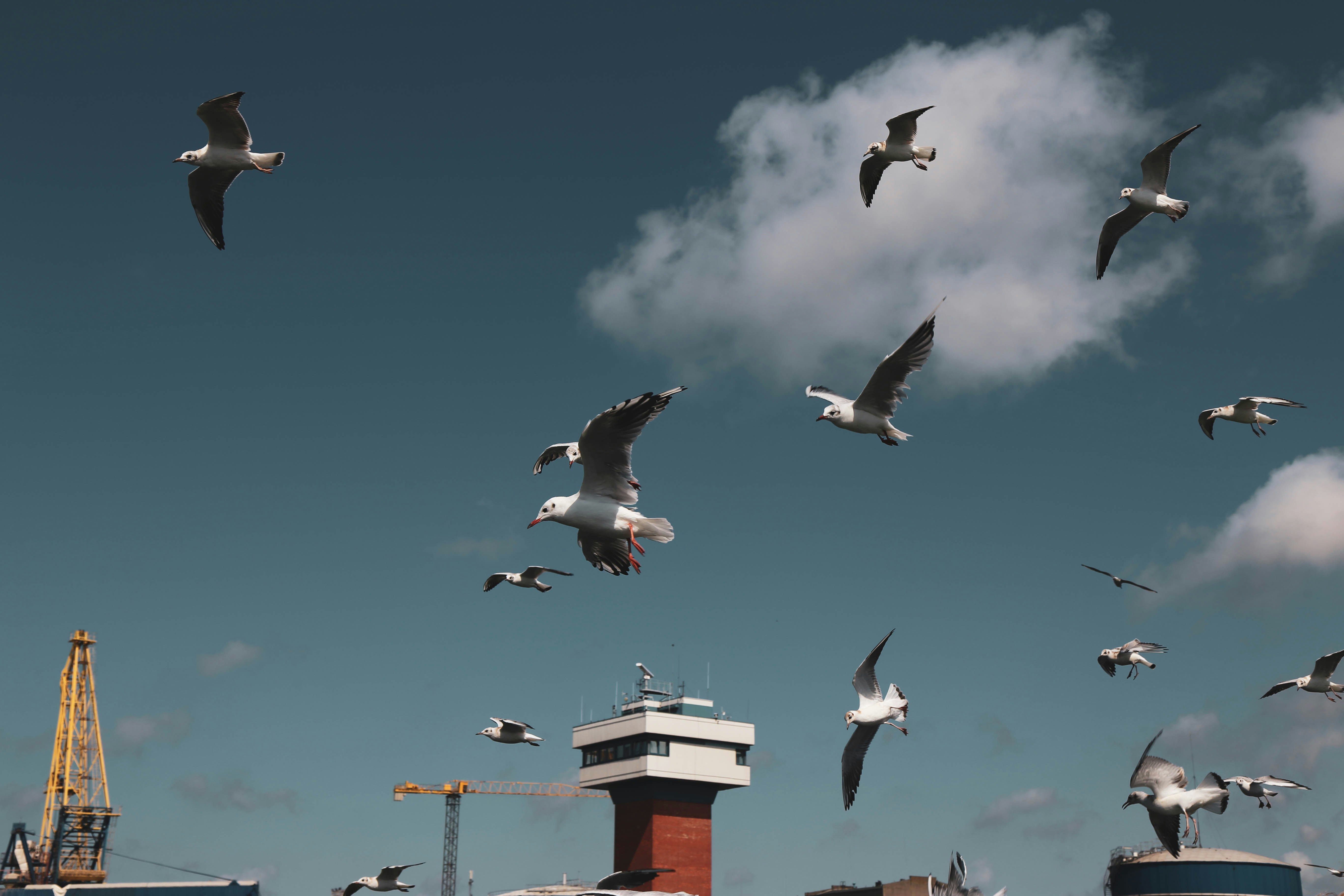 Photo by graphicnode