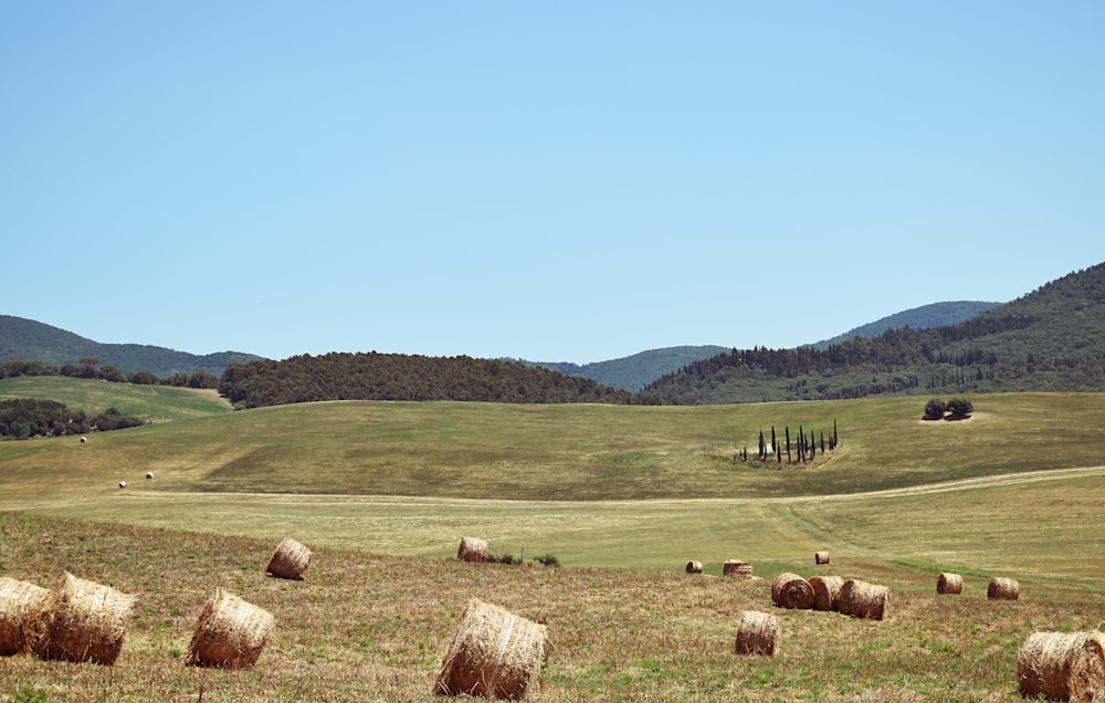 brown hay