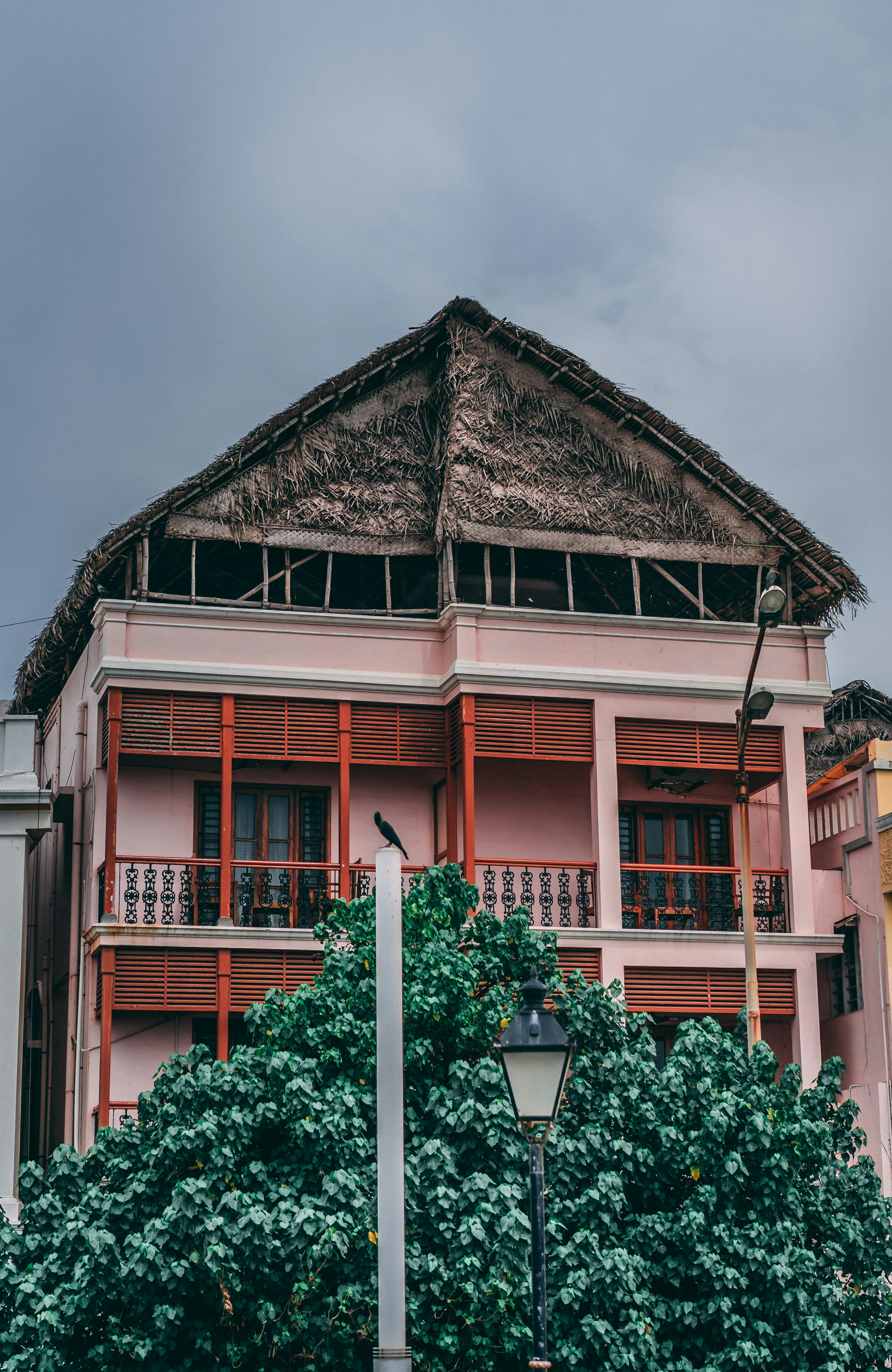 Photo by suicide_chewbacca