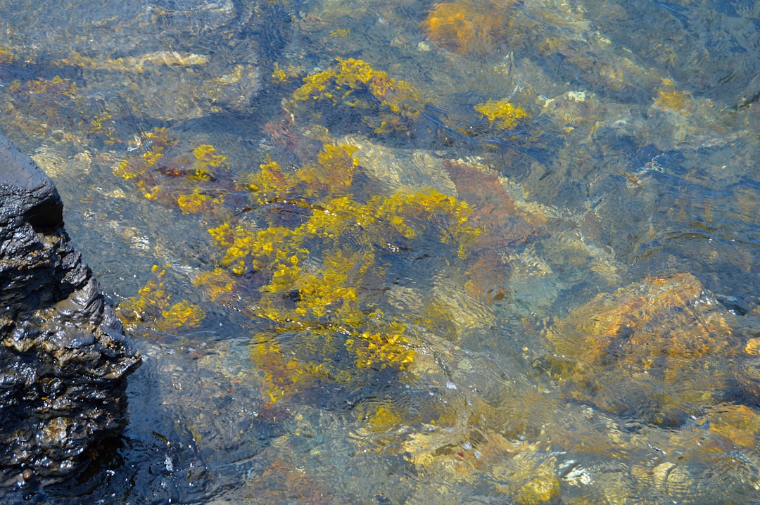 brown and yellow rocks