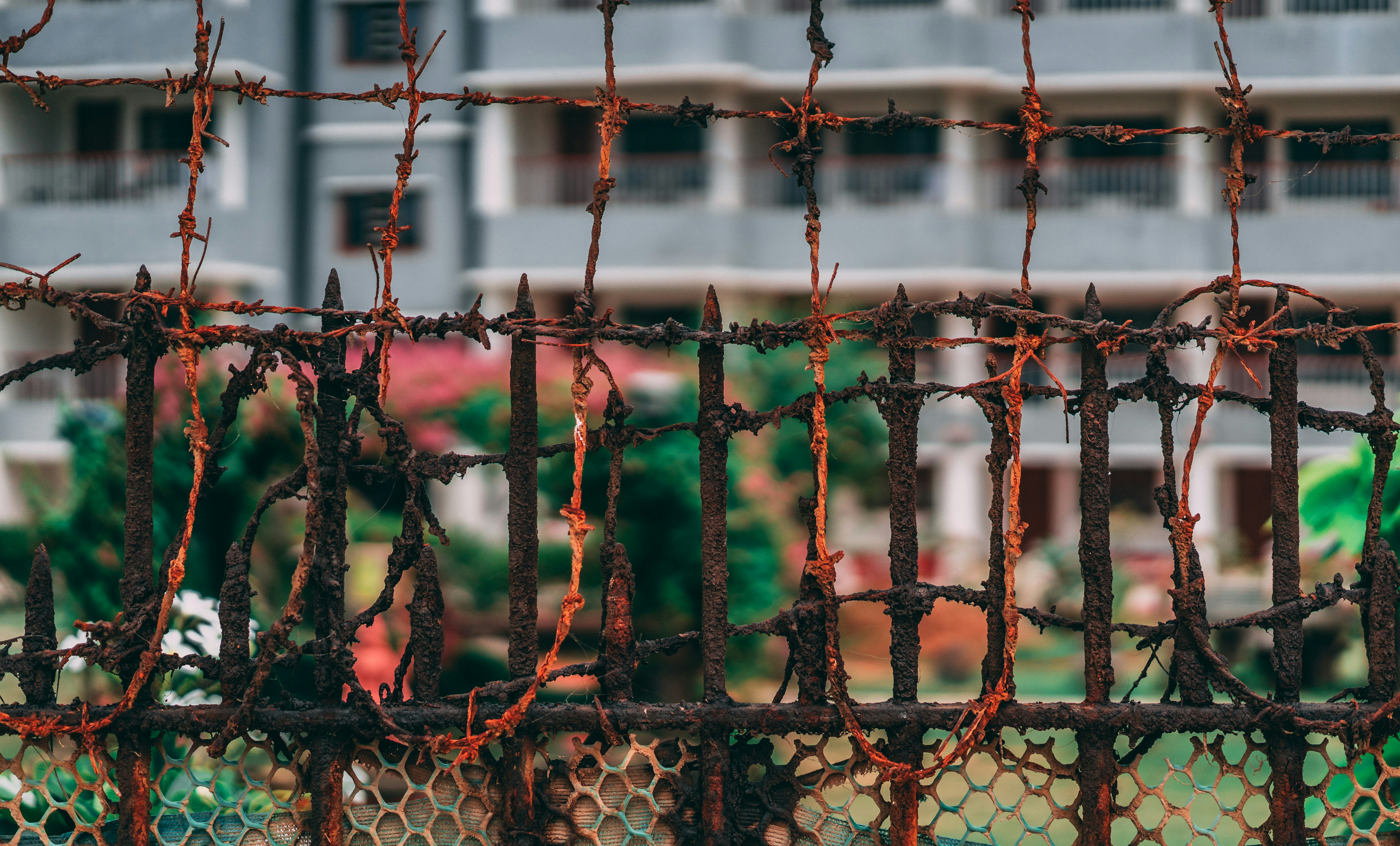 Photo by suicide_chewbacca