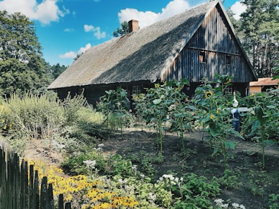 A rustic wooden house with a thatched roof is surrounded by a lush garden filled with tall sunflowers and various other plants. The garden is enclosed by a wooden fence, and the scene is set under a bright blue sky with fluffy clouds, creating a peaceful and serene atmosphere.