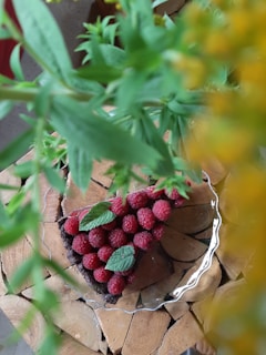 A quick dessert plate featuring a small chocolate tart garnished with fresh berries and a mint leaf.