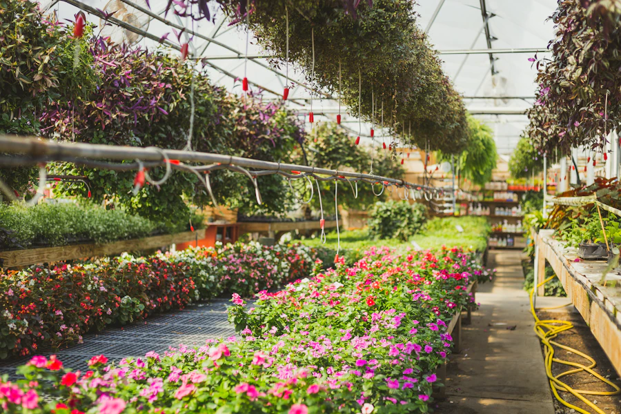 Vivero y jardín