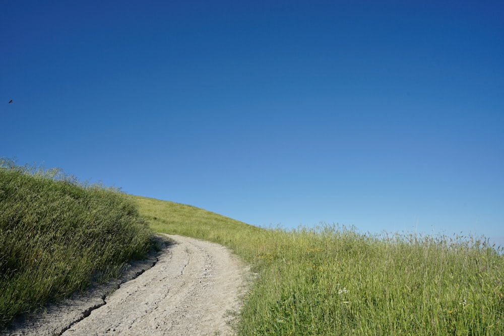 brown dirt road