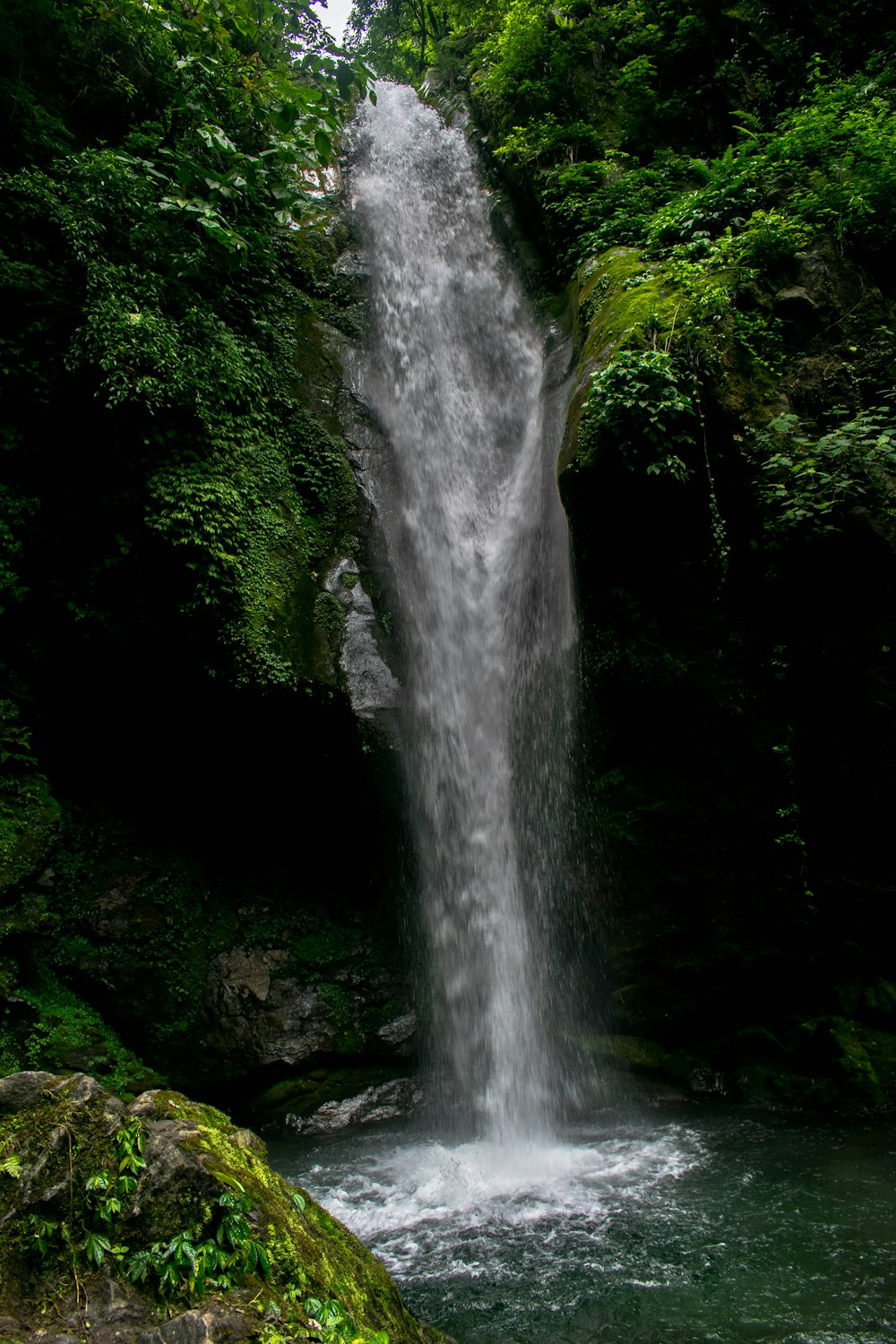 waterfall in forest