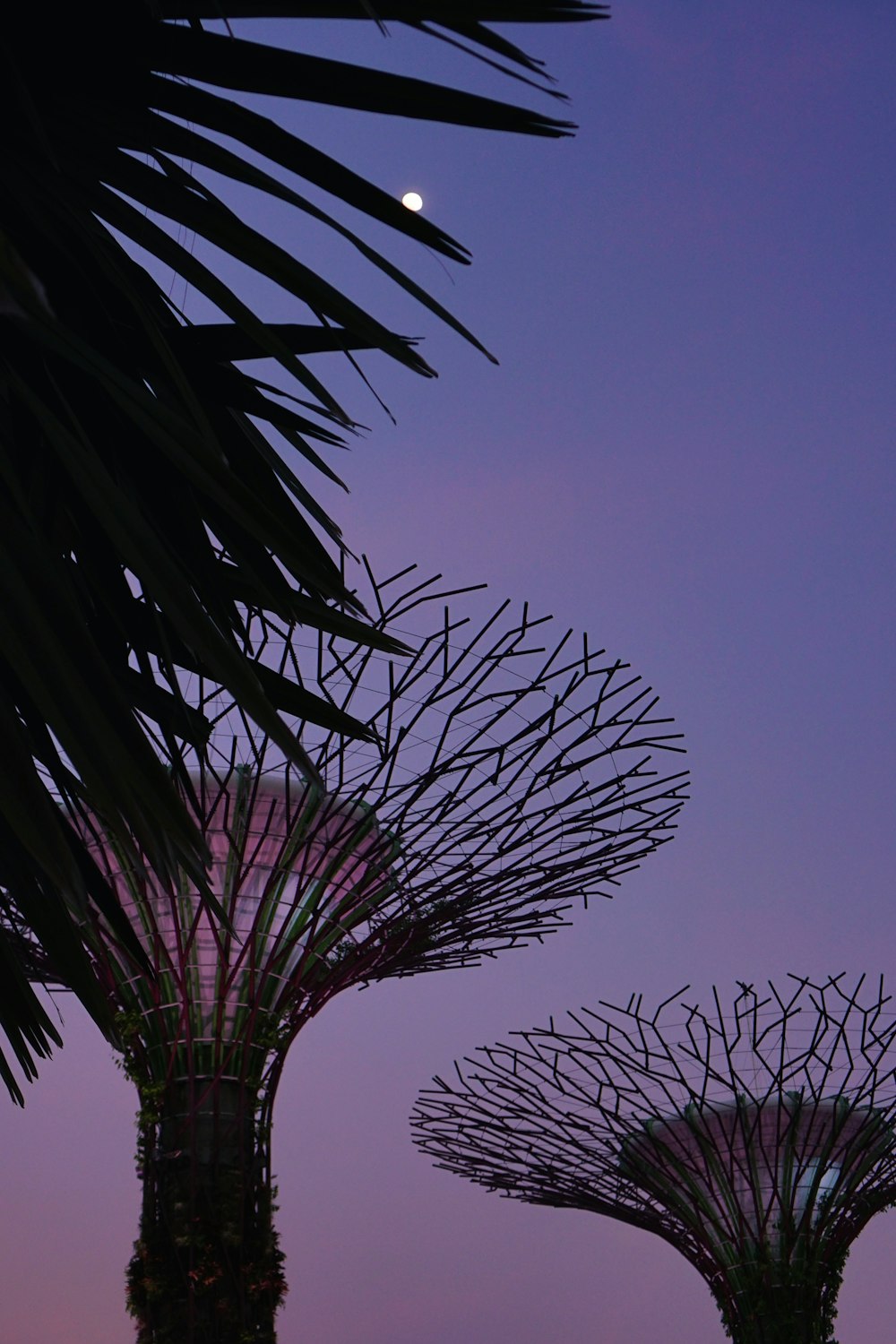 Gardens at the Bay