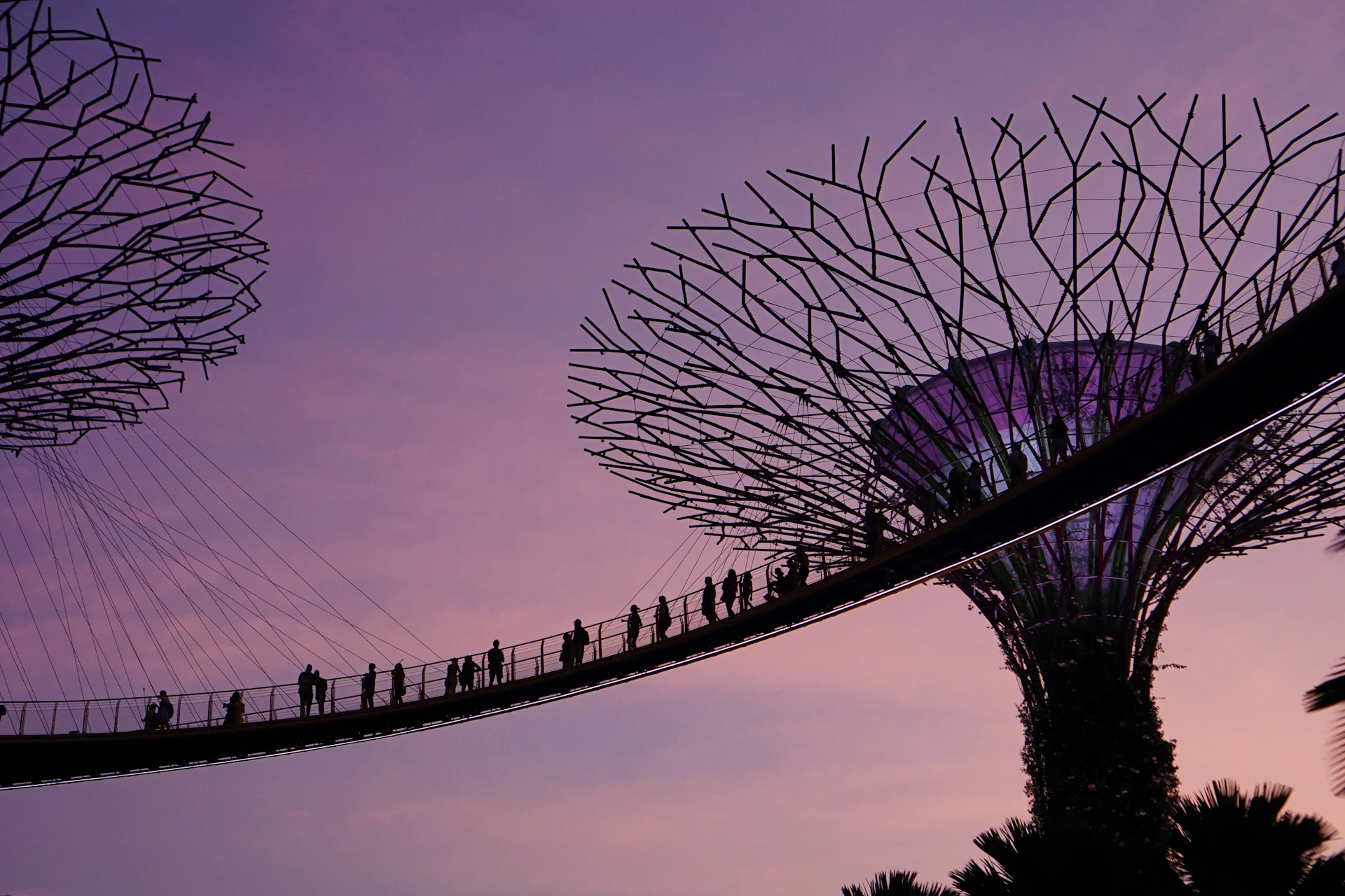 Marina City Park, Singapore