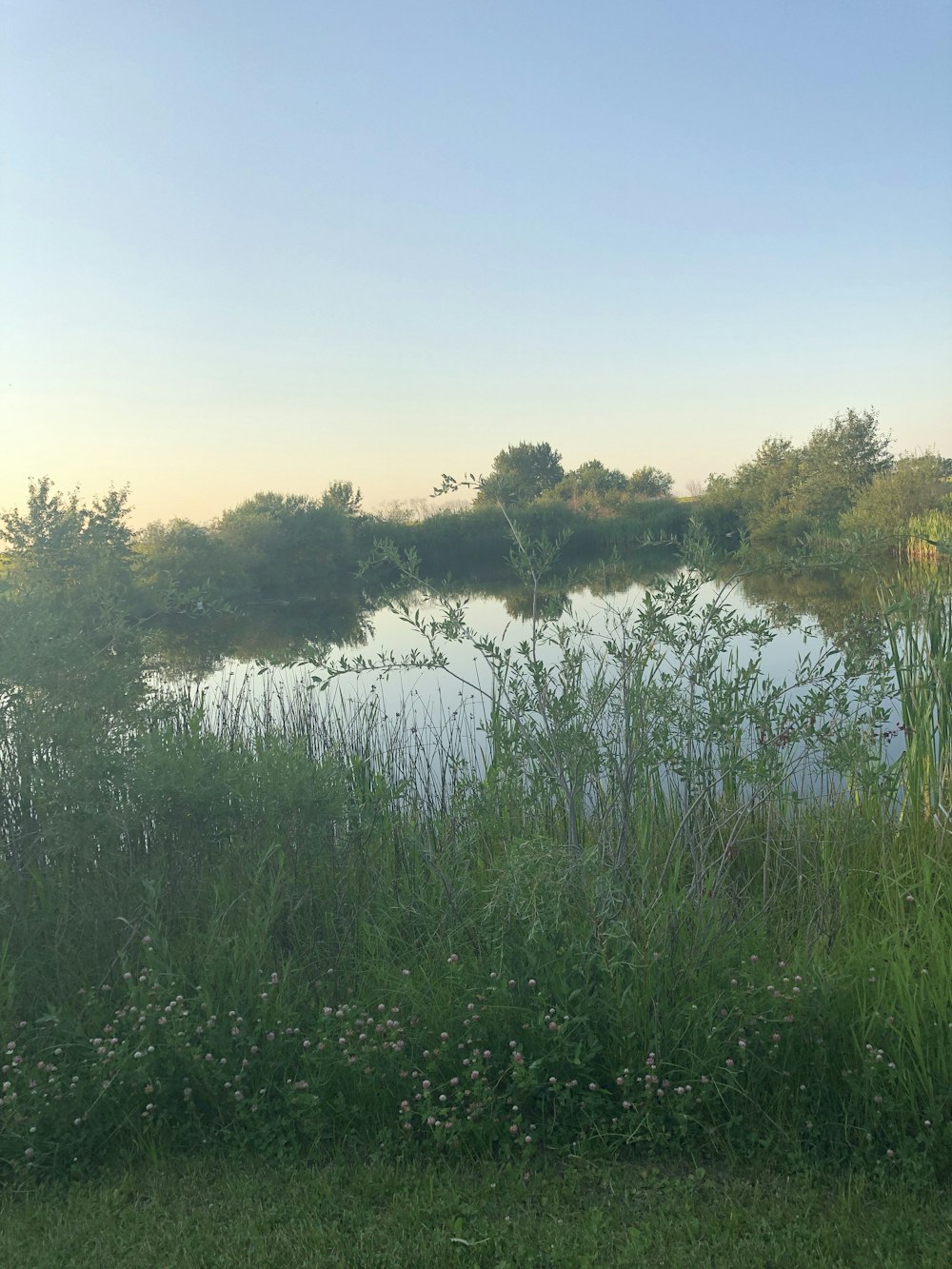 lake in forest