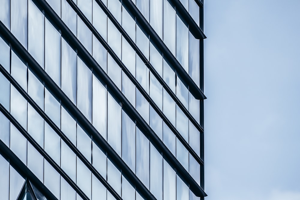 architectural photo of black and gray building windows