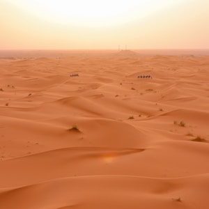 desert during day