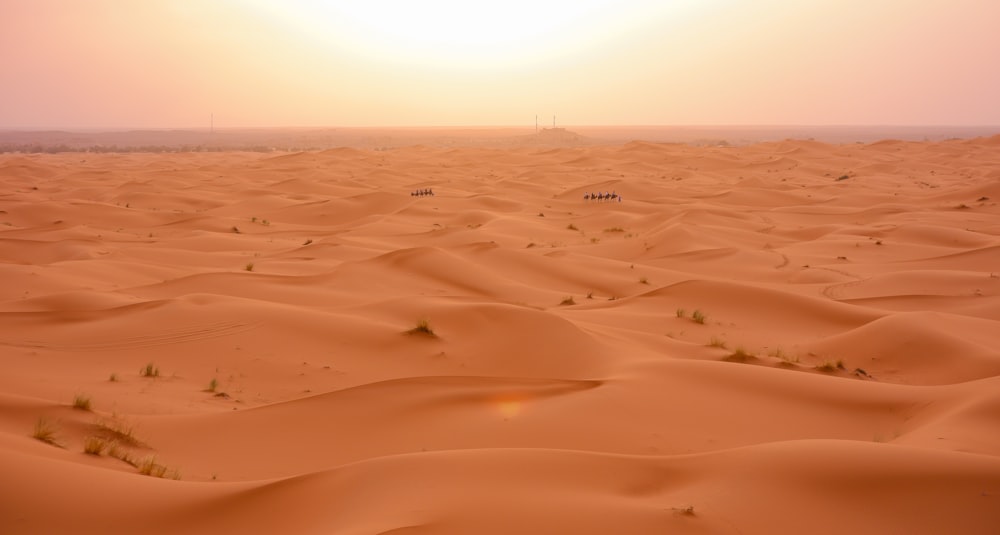 日中の砂漠