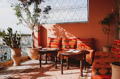 red and gray tribal 4-piece sofa near green leaf plant on brown pot