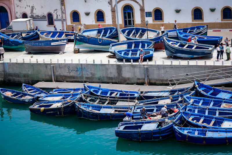 Best Specialty Coffee Roasters in Essaouira for Serious Coffee Drinkers