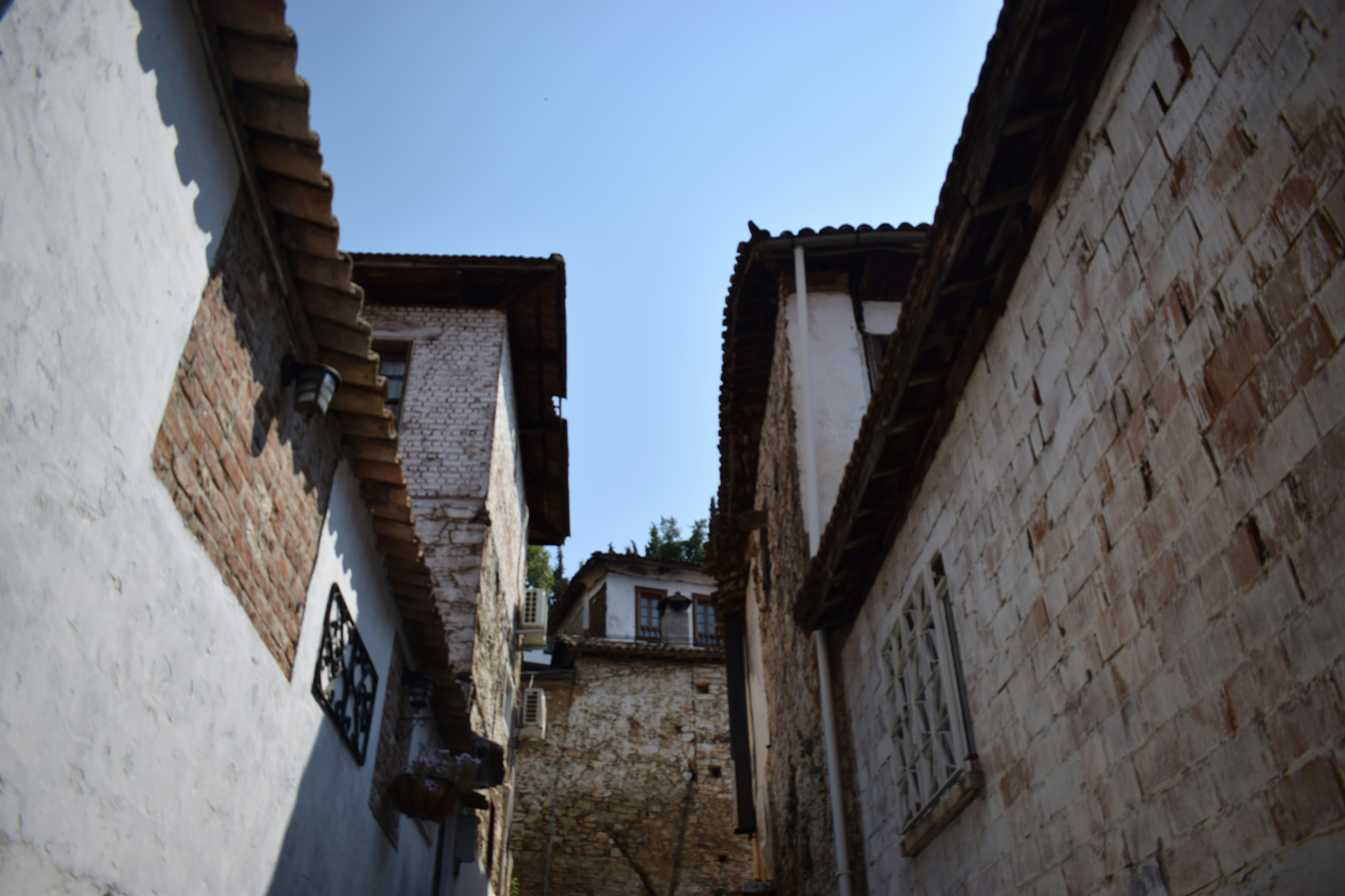 Photo by ipekaydogdu