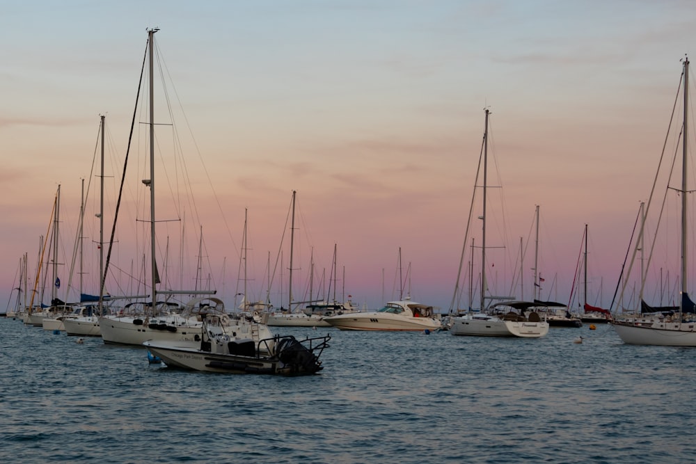 white sail boats