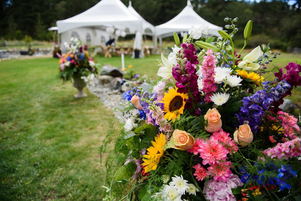 assorted-color flower lot