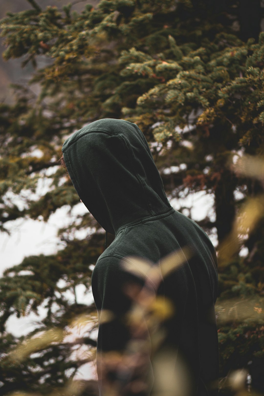 man wearing black hoodie standing beside green-leafed tree
