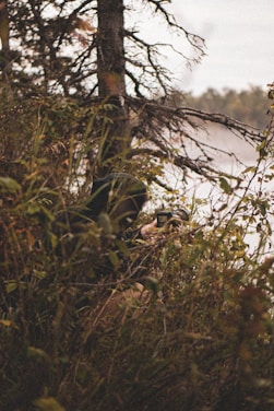 A person is crouched in dense foliage, possibly taking a photograph. The setting includes a tree with bare branches and surrounding greenery. The background shows a blurred natural landscape, perhaps a lake or river.