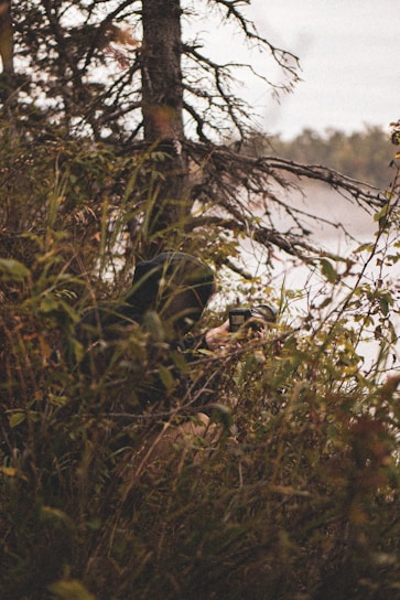 A person is crouched in dense foliage, possibly taking a photograph. The setting includes a tree with bare branches and surrounding greenery. The background shows a blurred natural landscape, perhaps a lake or river.