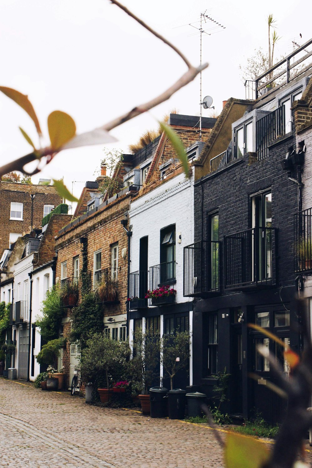 white, brown, and black buildings beside brown rad