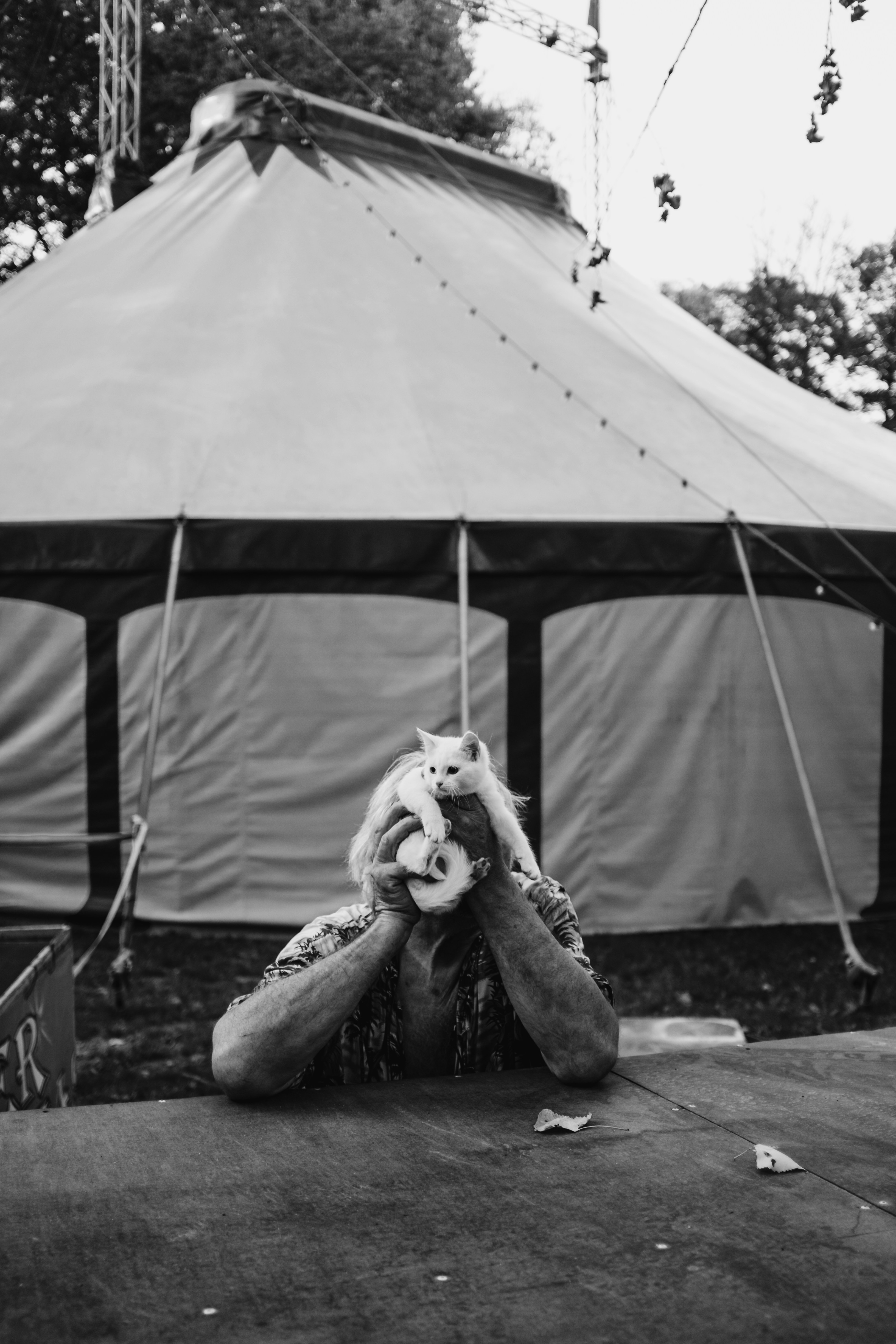 grayscale photography of cat on head of man