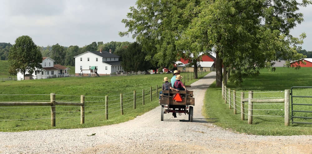 carriage on road