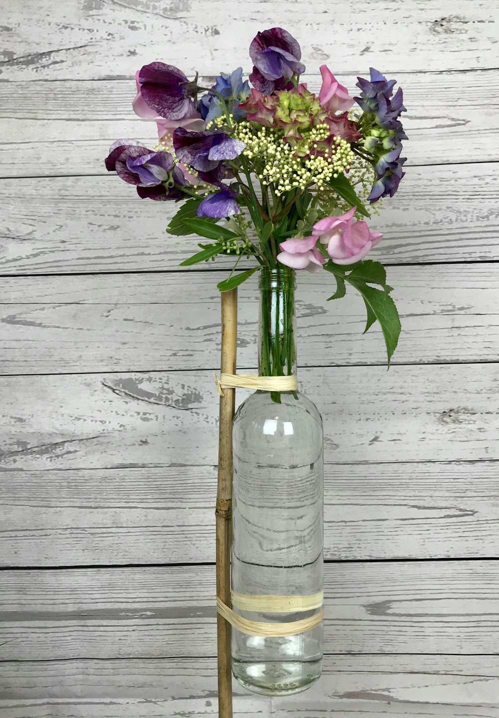 purple petaled flowers in clear glass bottle vase