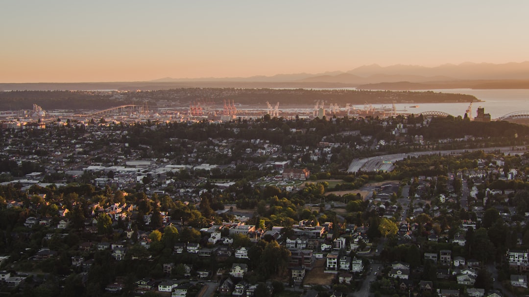 cityscape suring daytime