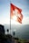 white and red flag