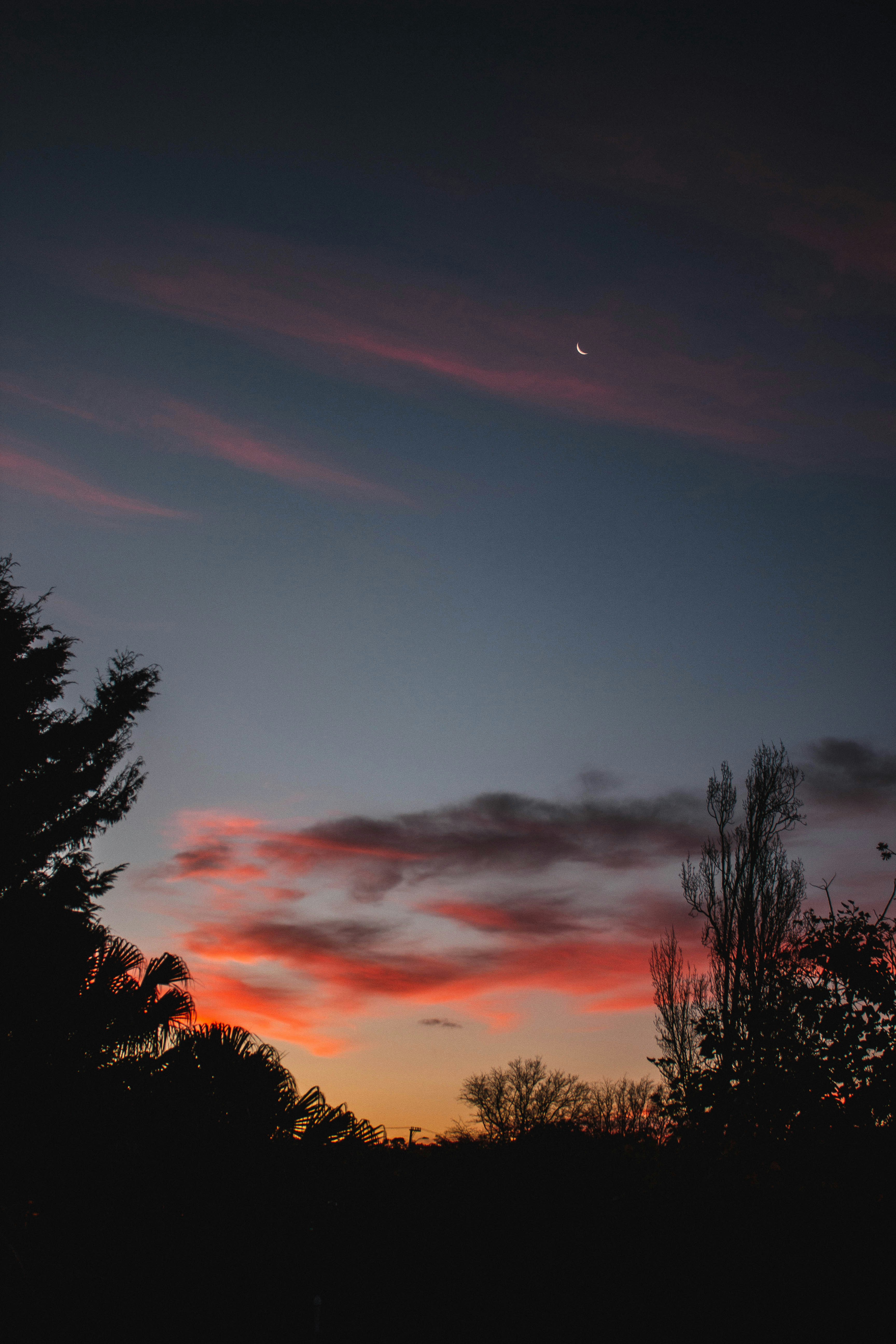 Photo by yourmatecaleb