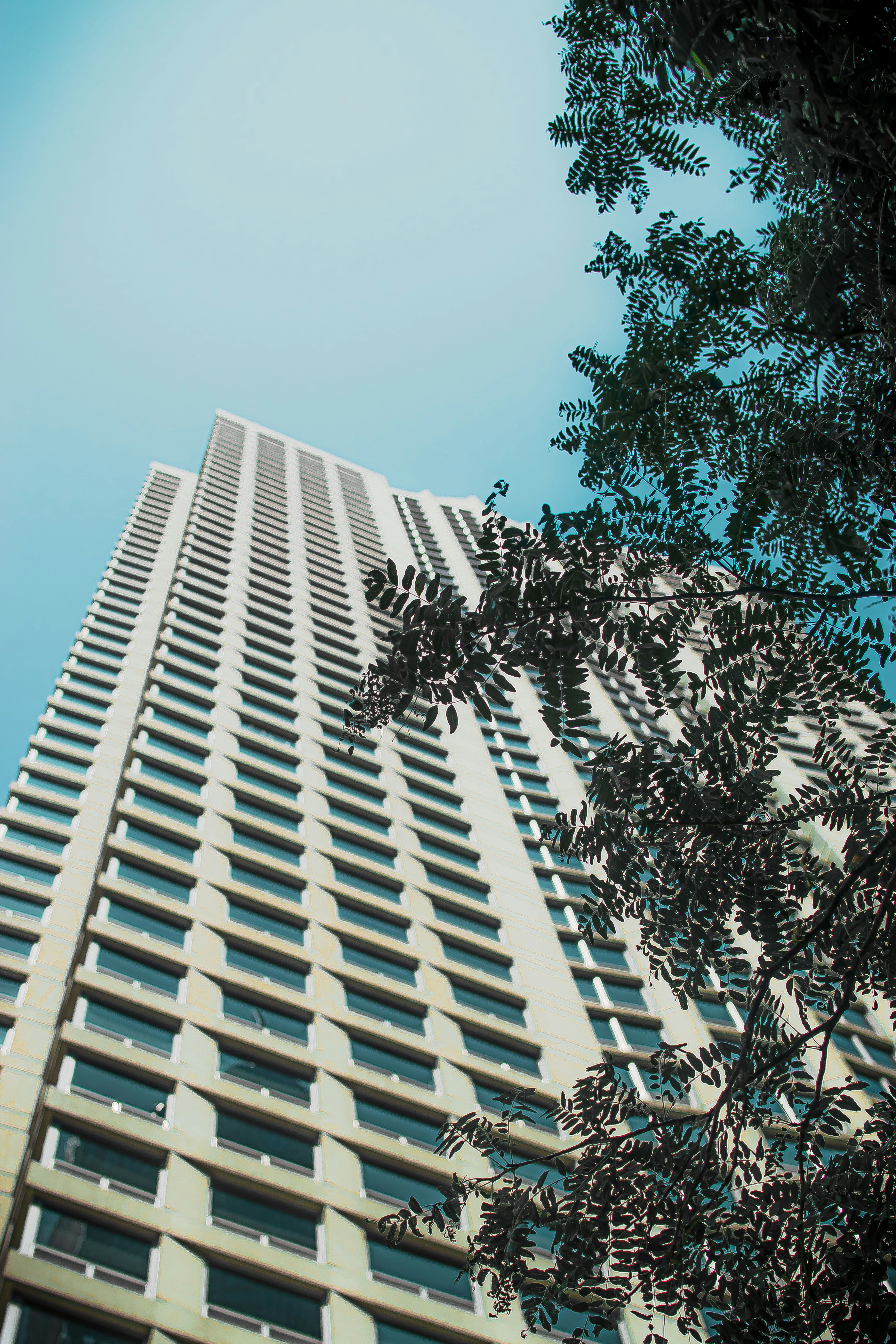 Photo by evocativeshot