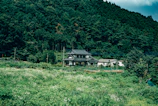 A traditional Japanese house is nestled in a verdant forested area. The scene is dominated by lush green trees and vegetation, with a clear sky above. The surrounding landscape is serene, featuring a vibrant mix of wild plants and a well-maintained garden in front of the house.