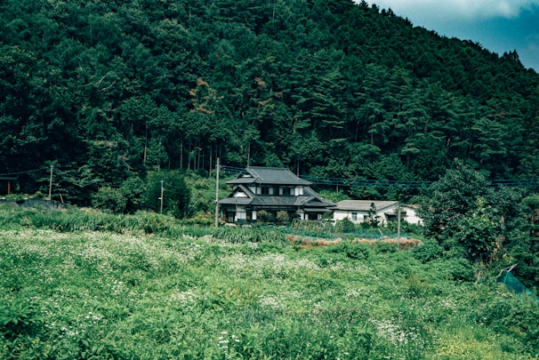 A traditional Japanese house is nestled in a verdant forested area. The scene is dominated by lush green trees and vegetation, with a clear sky above. The surrounding landscape is serene, featuring a vibrant mix of wild plants and a well-maintained garden in front of the house.