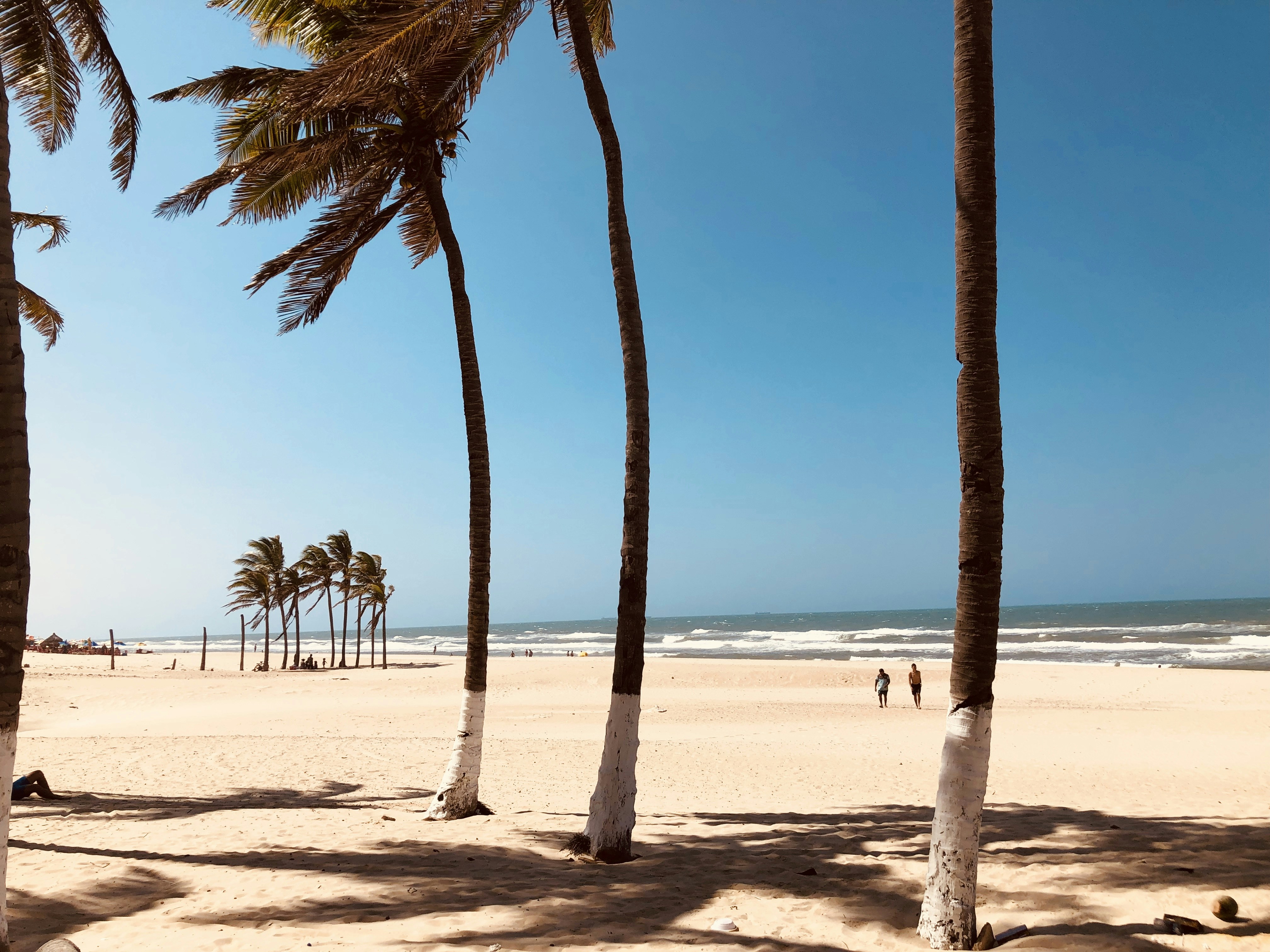 Photo by marcusdsousa