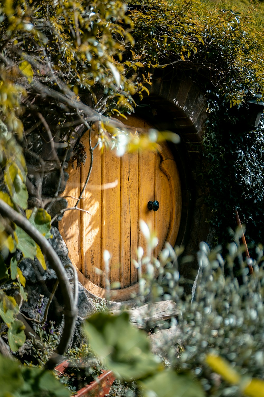 porta fechada de madeira marrom