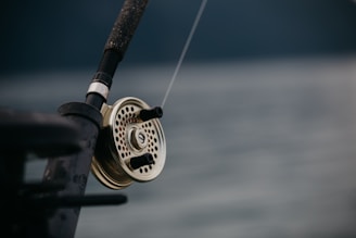A close-up view of a fishing rod with a detailed reel, focused against a blurred background. The reel has a metallic finish and intricate design elements, indicating it's likely a fly fishing rod.