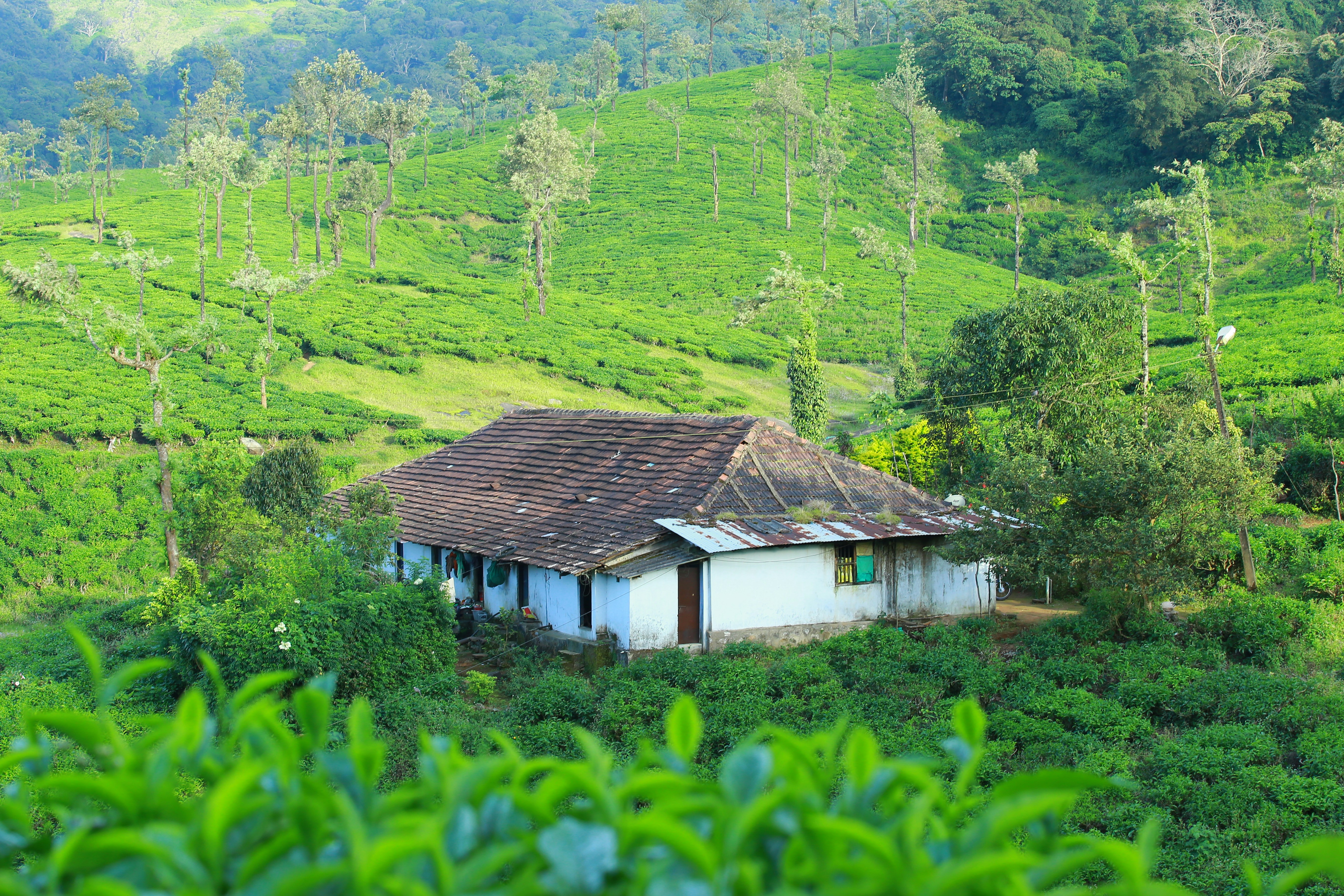 Photo by wilsanphotography