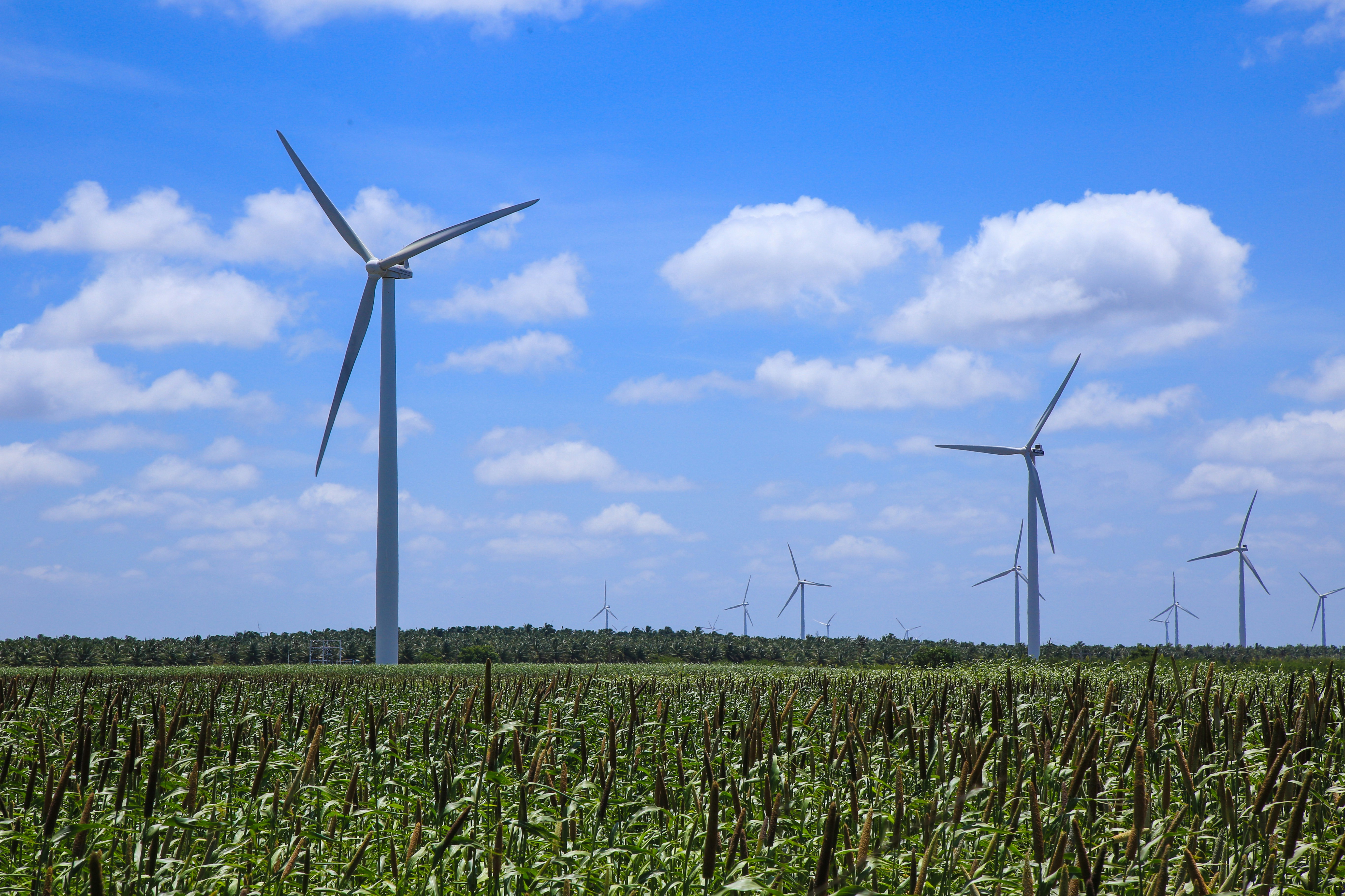 Photo by wilsanphotography