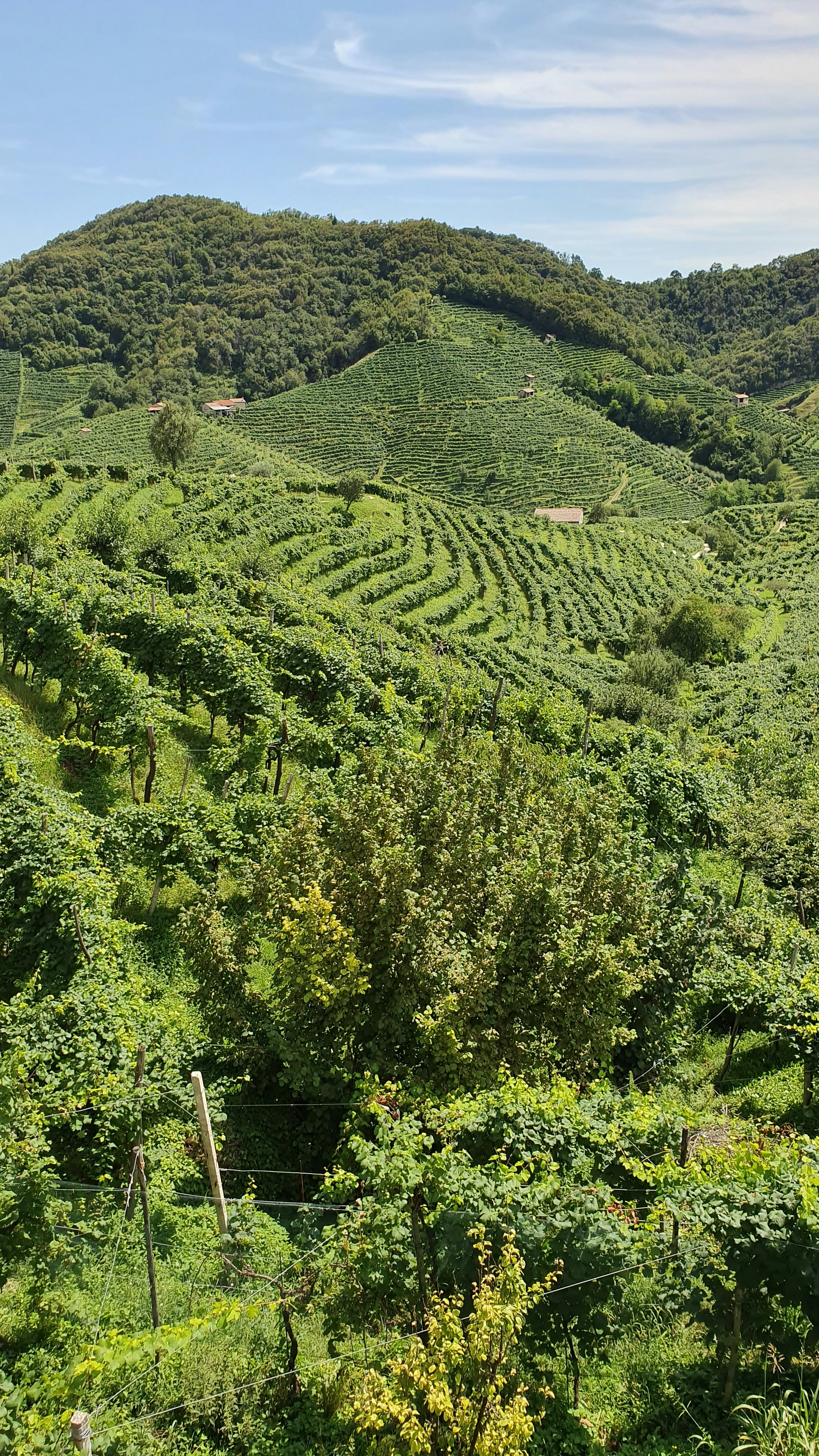 Choose from a curated selection of Italy photos. Always free on Unsplash.