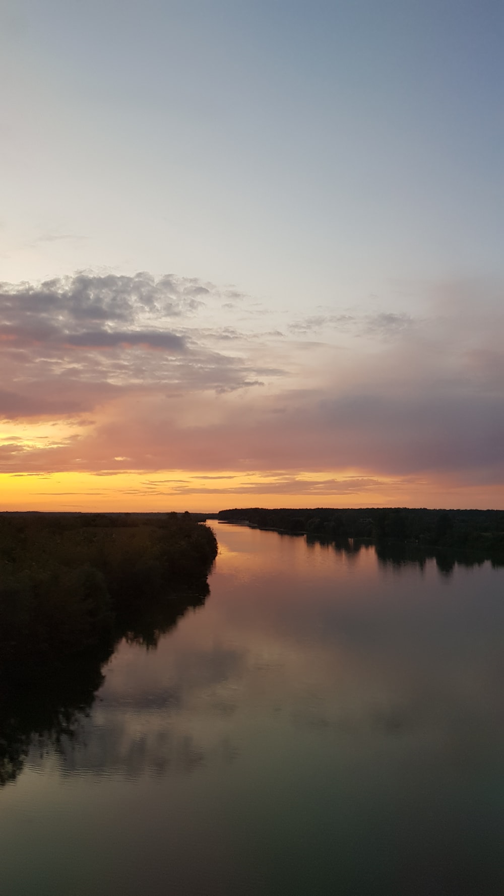 river beside plants during golden hour