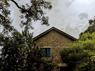 A rustic Cévennes stone house with wooden shutters surrounded by lush greenery under a clear blue sky.