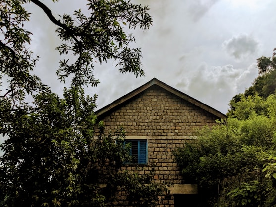 A rustic Cévennes stone house with wooden shutters surrounded by lush greenery under a clear blue sky.