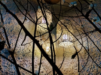 Three ornate lamps encased in intricate latticework hang amidst dark, intertwining branches against a textured wall. The warm light from the lamps casts soft shadows, creating an ambient and artistic atmosphere.